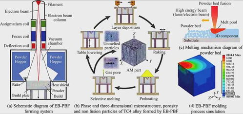 西安理工大學李樹豐教授 l 增材制造硼化鈦增強鈦基復合材料的研究進展